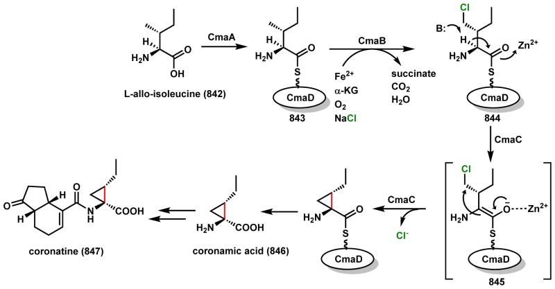 Scheme 119