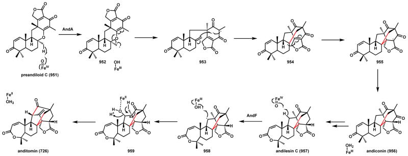 Scheme 136