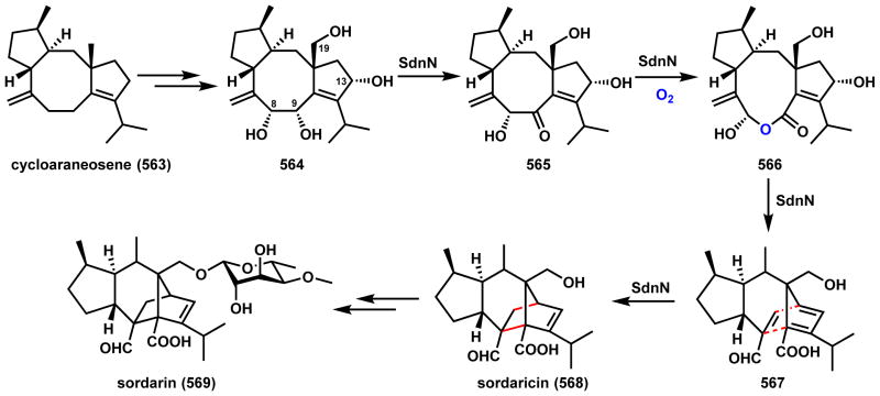 Scheme 80