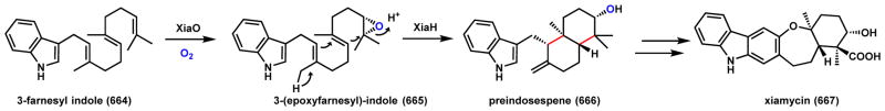 Scheme 96