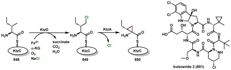 Scheme 120