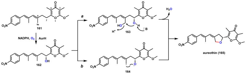 Scheme 28