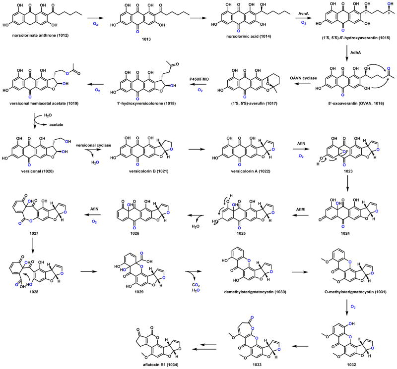 Scheme 143