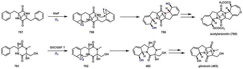 Scheme 104