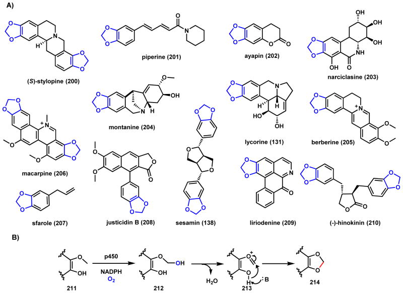 Scheme 33