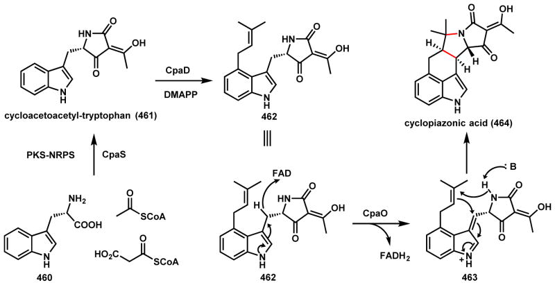 Scheme 65