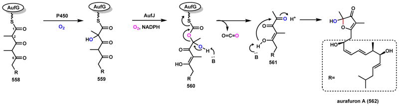 Scheme 79