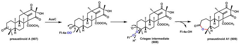 Scheme 128