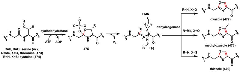 Scheme 68