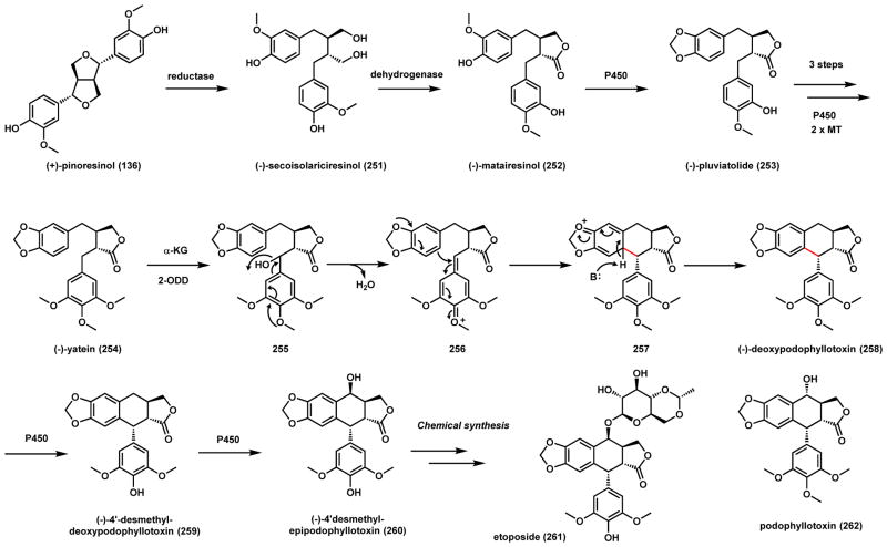 Scheme 39