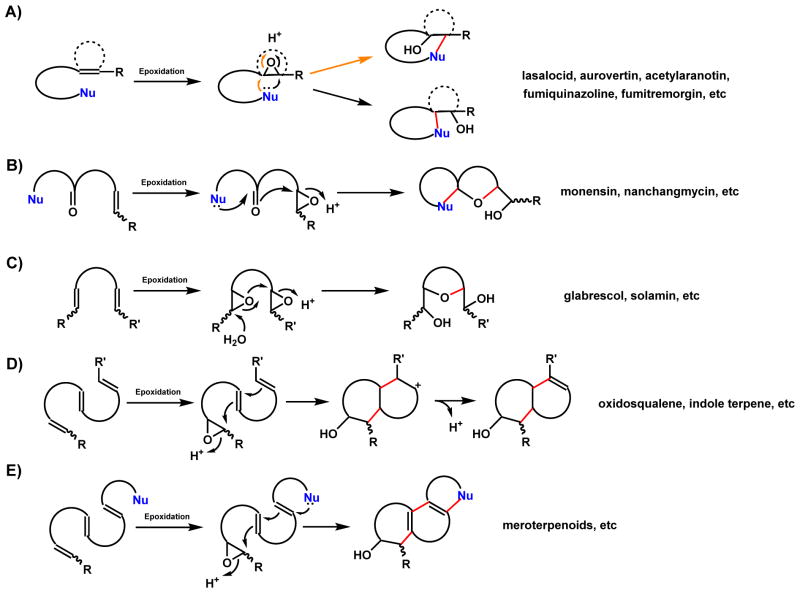 Scheme 86