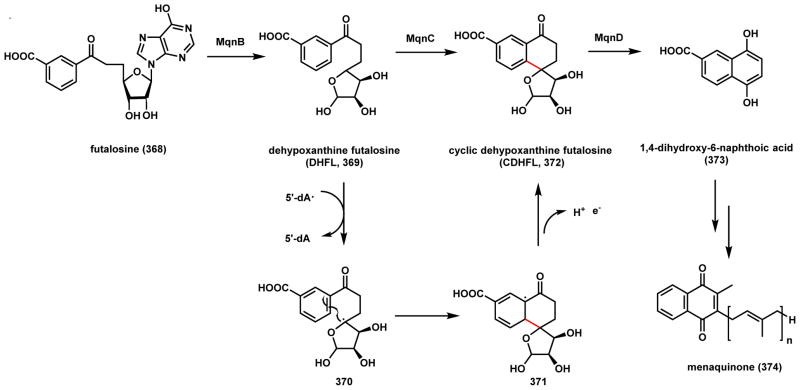 Scheme 51