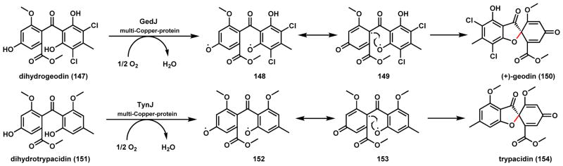 Scheme 26