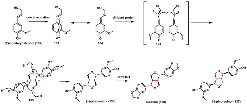 Scheme 24