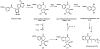 Scheme 51