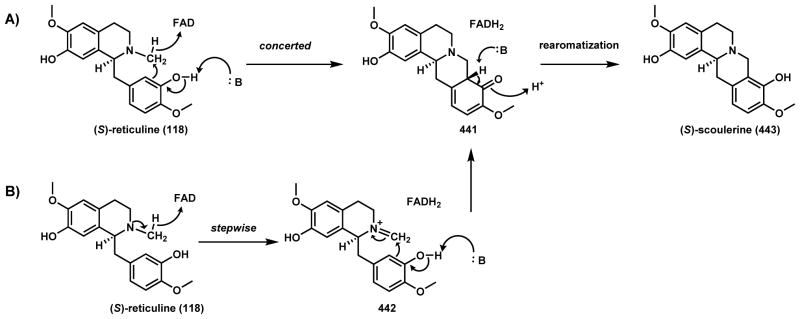 Scheme 61