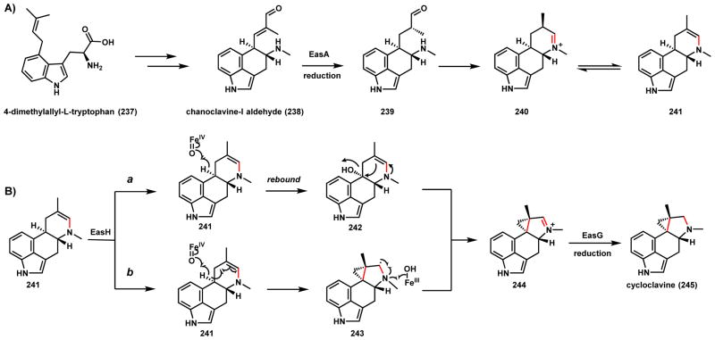 Scheme 37