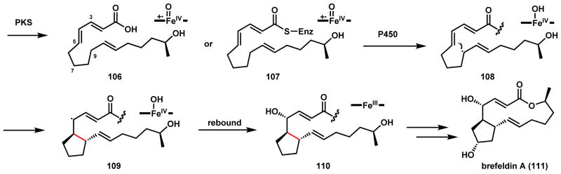 Scheme 21