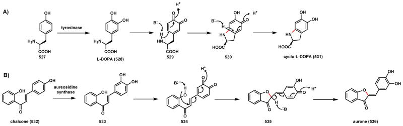 Scheme 75