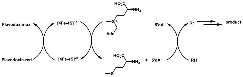 Scheme 3