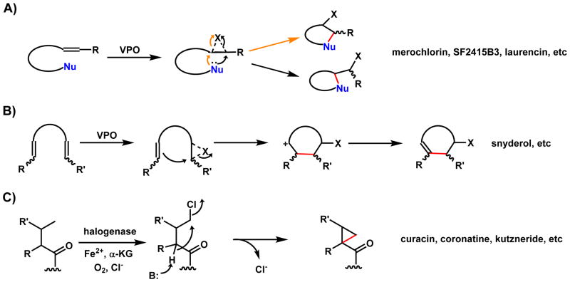 Scheme 113