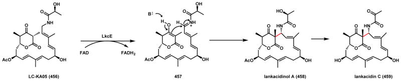 Scheme 64