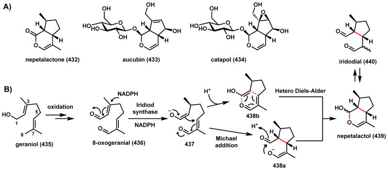 Scheme 60