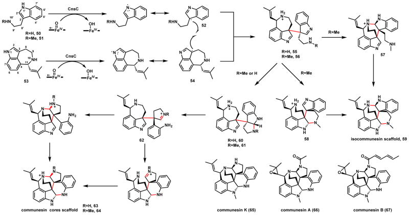 Scheme 15