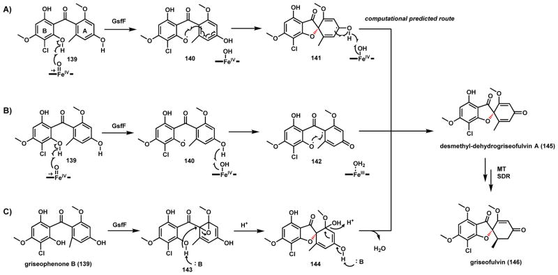 Scheme 25