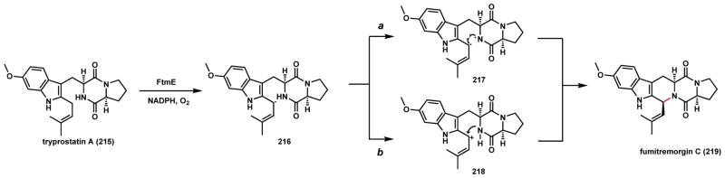 Scheme 34