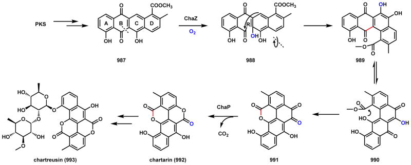 Scheme 140