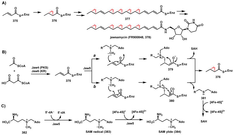 Scheme 52