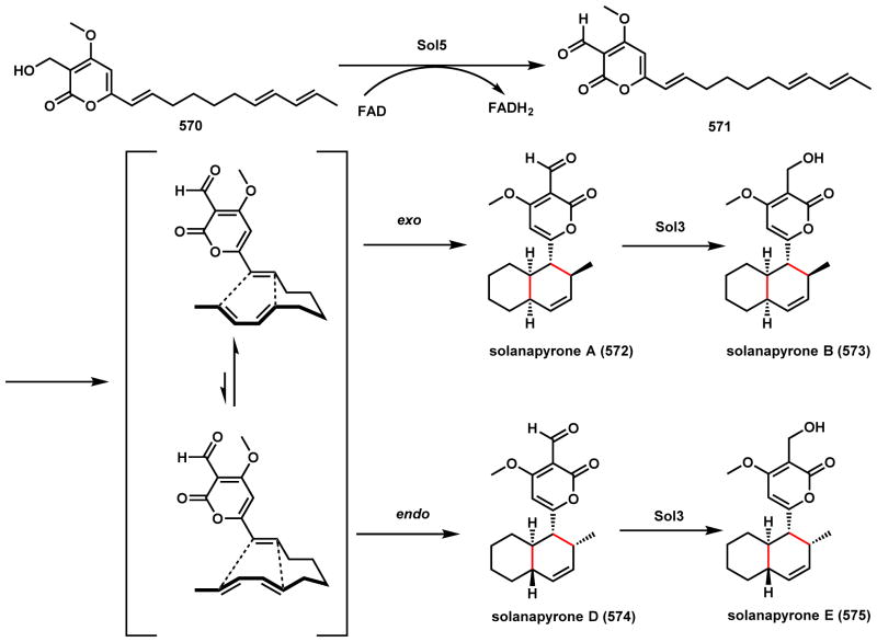 Scheme 81