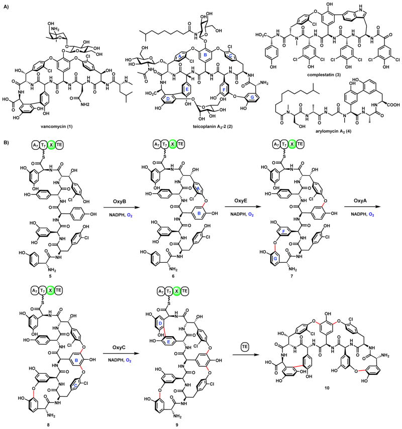 Scheme 8