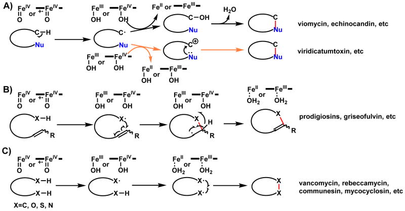 Scheme 7