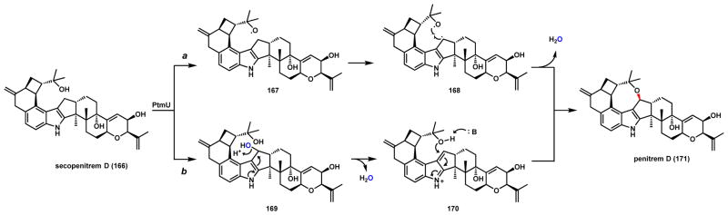 Scheme 29