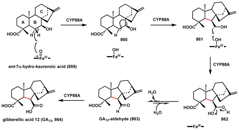 Scheme 122