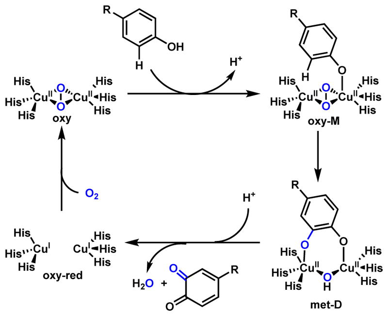 Scheme 4