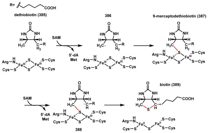 Scheme 53