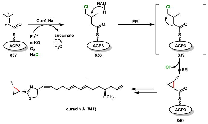 Scheme 118