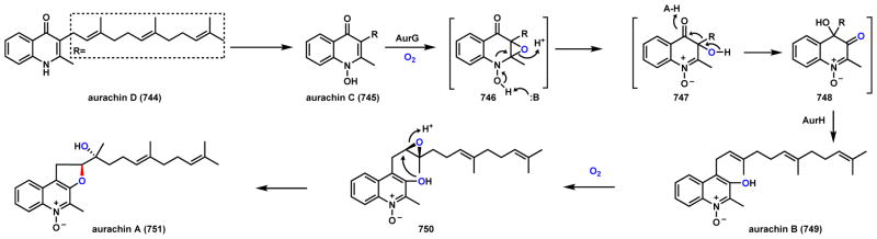 Scheme 102