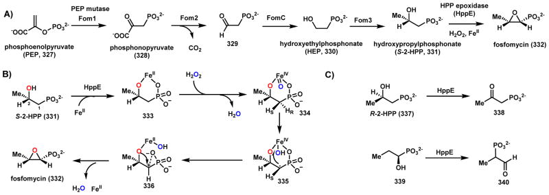 Scheme 47