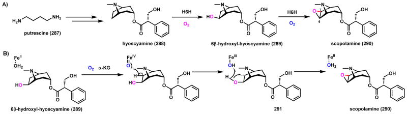 Scheme 43