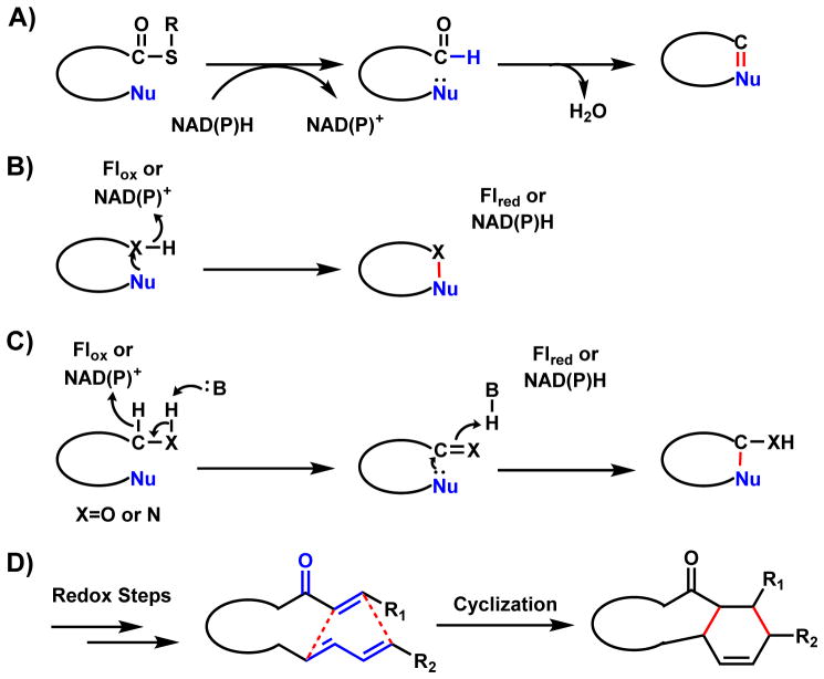 Scheme 55