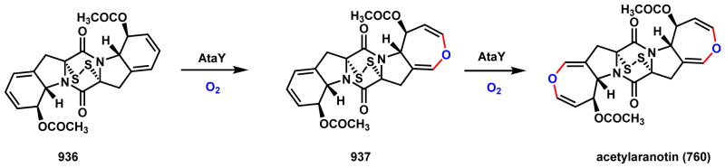 Scheme 133