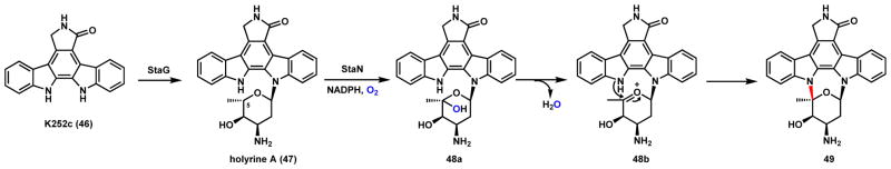 Scheme 14