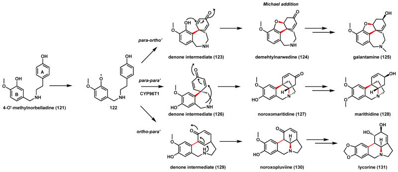 Scheme 23