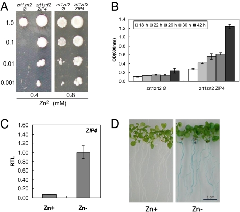 Fig. 1.