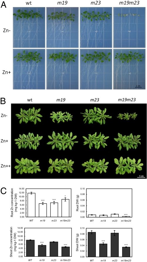 Fig. 3.