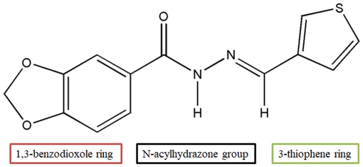 FIGURE 1